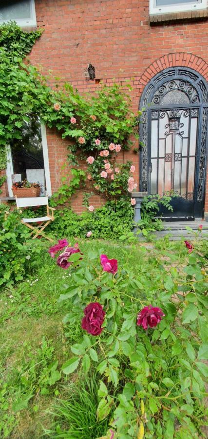 فيلدين Art, Bed & Breakfast المظهر الخارجي الصورة